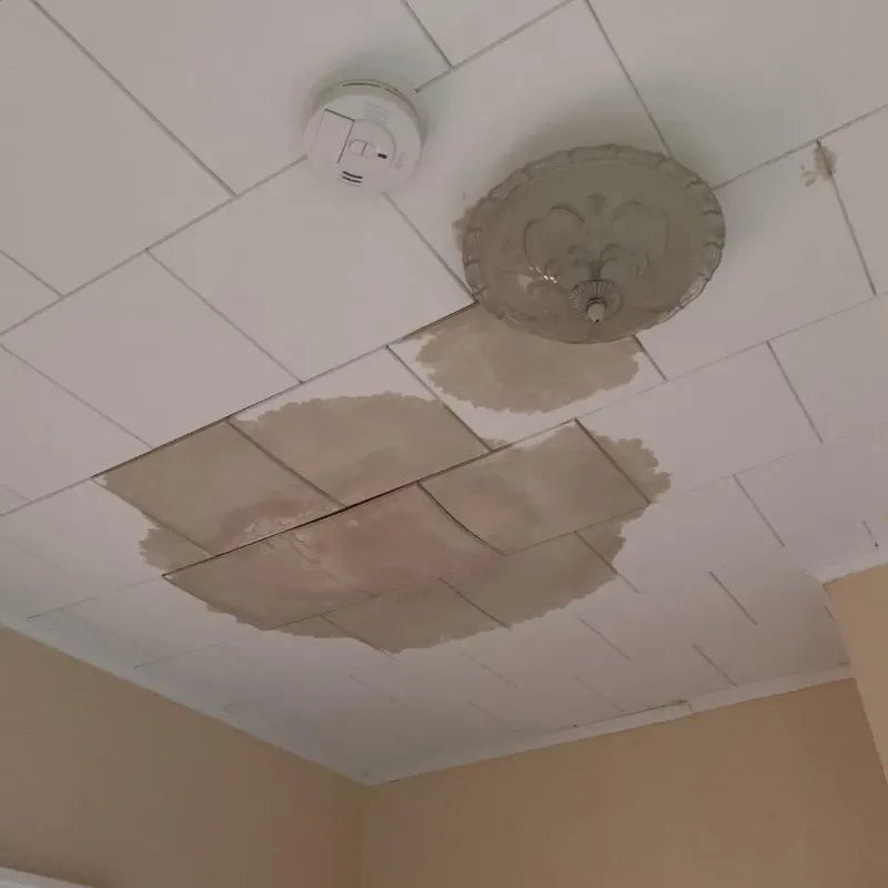 Ceiling Water Damage Repair in Fayetteville, GA