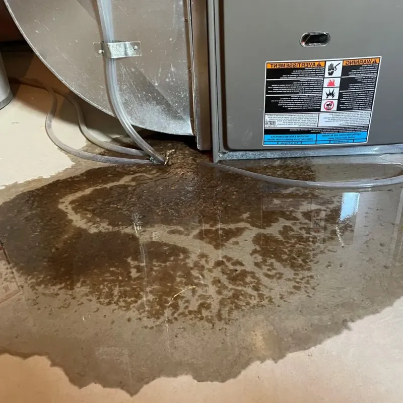 Pipe Burst and Leak Restoration in Fayetteville, GA